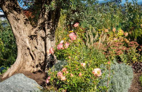 Apartments ANNY - Foto 49