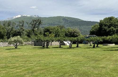 Finca Aprisco de Candeleda - Foto 50