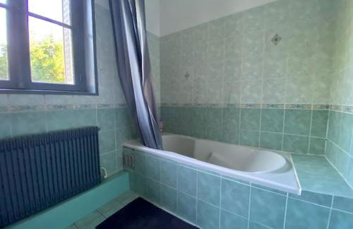 Beaugency-2 sur la route des châteaux - Photo 13