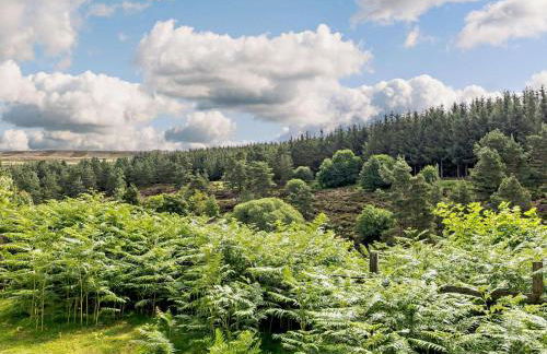 2 Bed in Consett oc-91440 - Foto 20