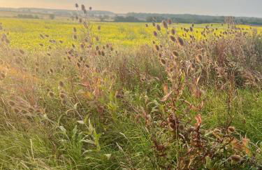 Lavender Cottage - Foto 34