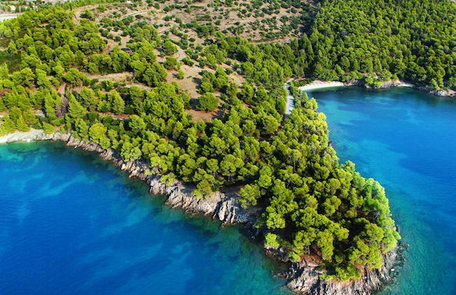 Porto Carras Villa Kalyva Mare - Foto 16