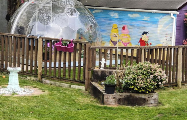 The Cabin Quiet, Relaxing and dog Friendly - Foto 14