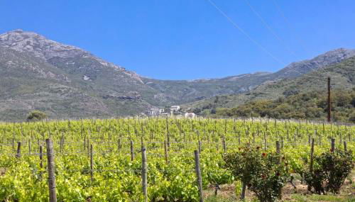 Casa U Castagnettu - Foto 3