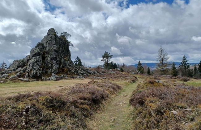 Schones Ferienhaus mit Grossem Garten bei Stadlern - Foto 14