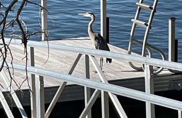 Lakefront, Private Dock, Spectacular Views - Foto 64