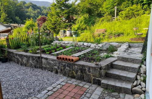 Im Naturgarten - Foto 27