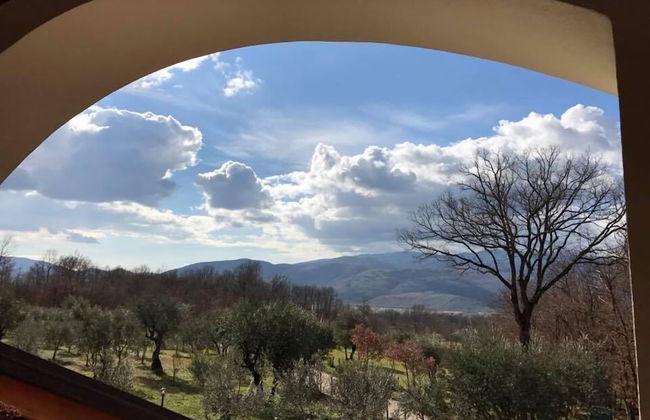 Agriturismo L'Ulivo - Foto 13