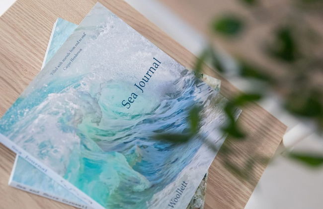 Sunny Modern Nr Beach Village w Parking - Photo 12