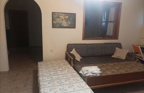 Ελαιώνας και θάλασσα - Foto 5