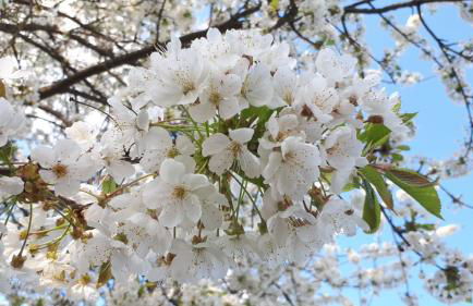 Apartments im Taunus - Foto 12