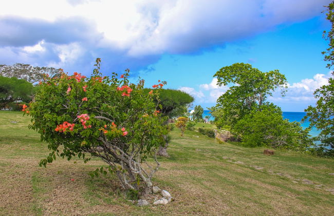 Rica Vista Beach Cottages - Foto 22