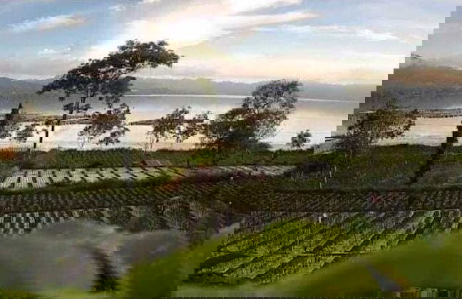 PONDOK POHUCU - Foto 10