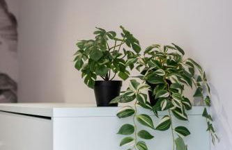 Marina Beach Apartments - Foto 19