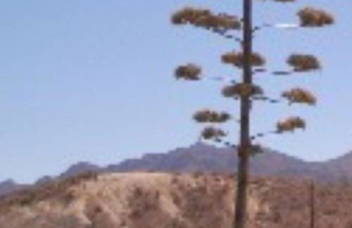 Private Pool- Rooftop Terrace & Bbq- Aircon - Foto 27