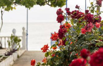 Tropical Beach "Poseidon" - Foto 26