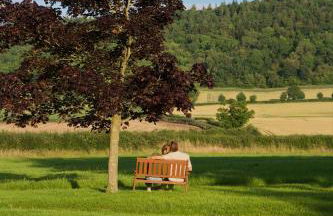 The Hornbill at Home Farm Shropshire - Foto 29