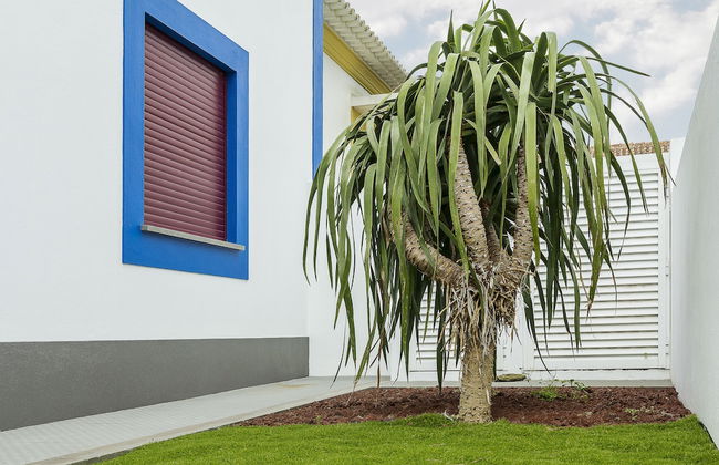 Casa do Pequeno Dragoeiro - Photo 32