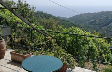 CA DU STEA - Foto 20