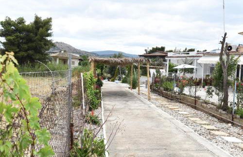 Los Almyros - Photo 44