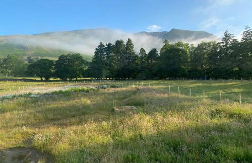 Beech Croft - Foto 29