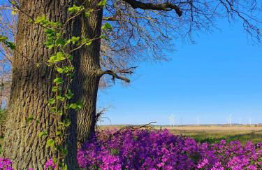 Holiday home in Coswig 3105 - Foto 12