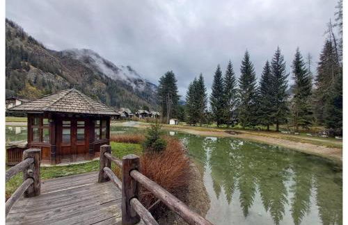 PUNTA VITTORIA SUB 14 - RESIDENCE ANDERBATT GRESSONEY - 3 locali - CIR N 0010 - Foto 31