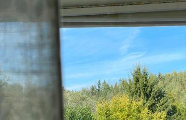 Ferienwohnung Waldblick - Foto 16