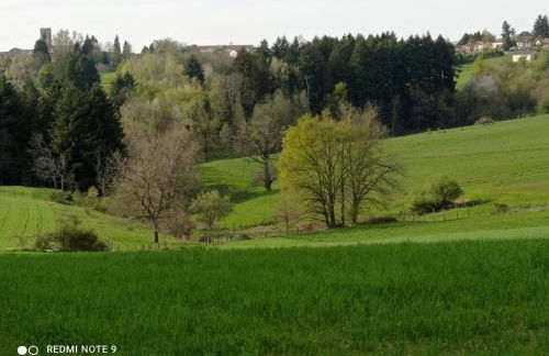 L'Eclat de menthe - Foto 16