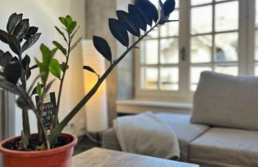 T4 lumineux, tout équipé, au centre d'Aurillac - Photo 6