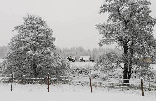 Domek Nasze Miejsce - Foto 23