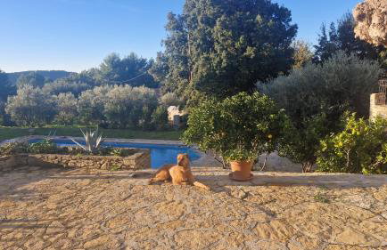 Maison de Caractère située au coeur des domaines viticoles de BANDOL - Foto 31