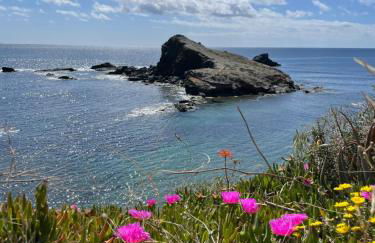 Cala AZUL Gran Terraza con BBQ - Foto 36