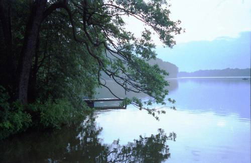 Ferienhaus Pirol - Photo 37