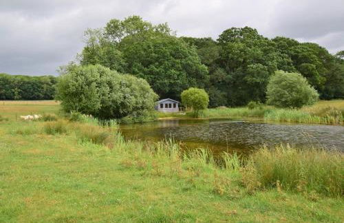 1 Bed in Warminster oc-52108 - Foto 12