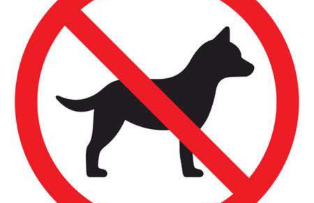 Apartamenty w Dolinie Gościna - Foto 68