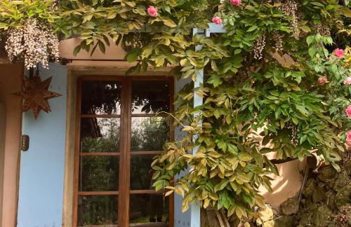 Appartamento con terrazza privata e giardino vicino a Pisa e Firenze - Foto 38