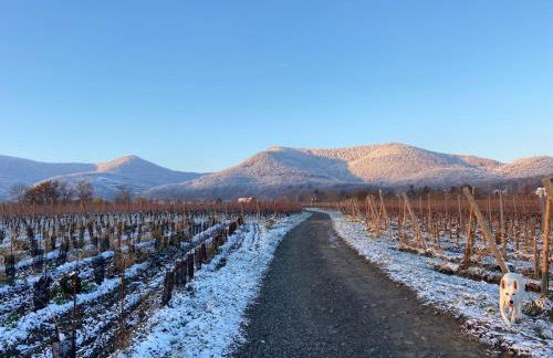 Appartement duplex chez Sandra - Photo 22
