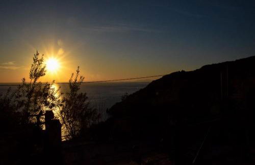 House of the Rising Sun - Foto 11