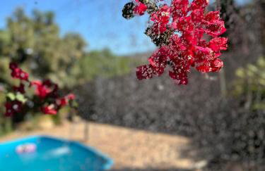 Casa para temporada com Piscina - Foto 40