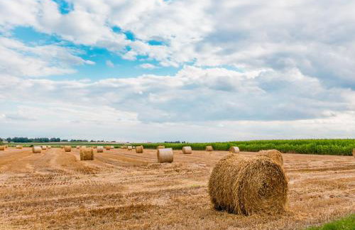 Oaza spokoju - Foto 43