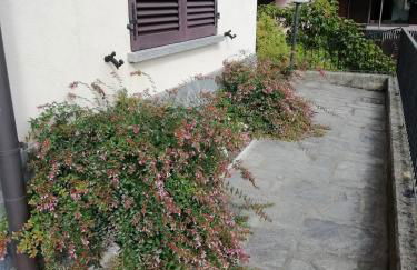 Villa Banfi - Foto 9