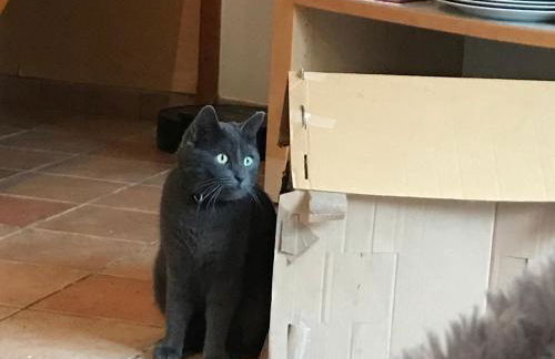 Maison de campagne - Foto 8