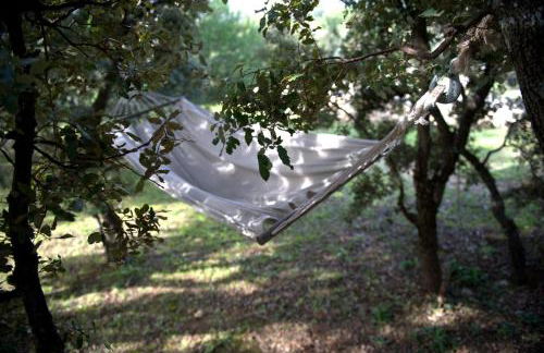 Les Terrasses - Gordes - Photo 8