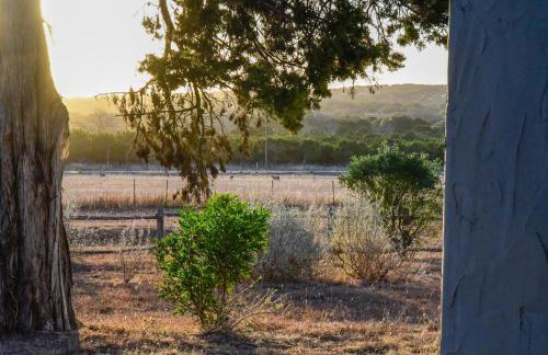 Serene Hill Country Wildlife Sanctuary with Porch - Photo 33