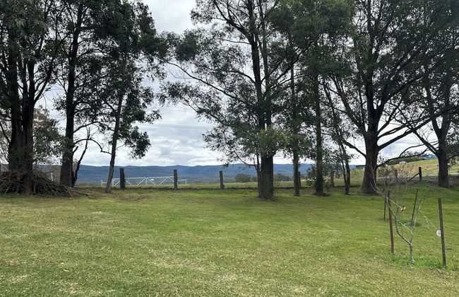 Blueberry Hills on Comleroy - Photo 39