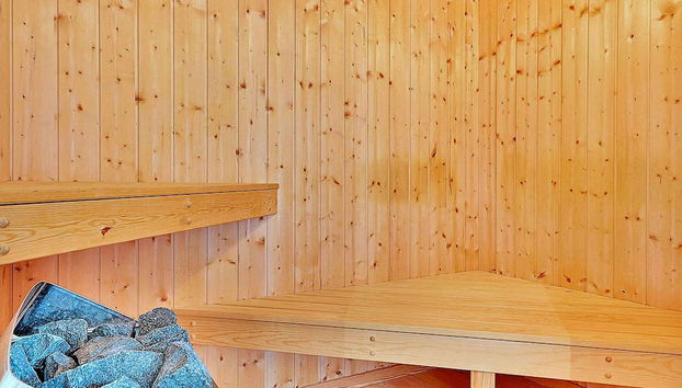 6 Person Holiday Home in Blavand - Foto 2, Sauna