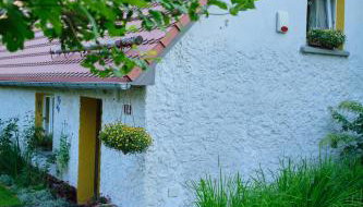 Czereśniowy Dom - Foto 2, Garden, Garden view