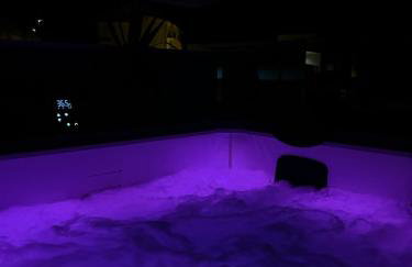 Penthouse Jacuzzi SeaView Suite - Foto 14