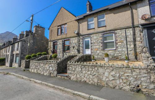 Bythynnod Newydd - Foto 1